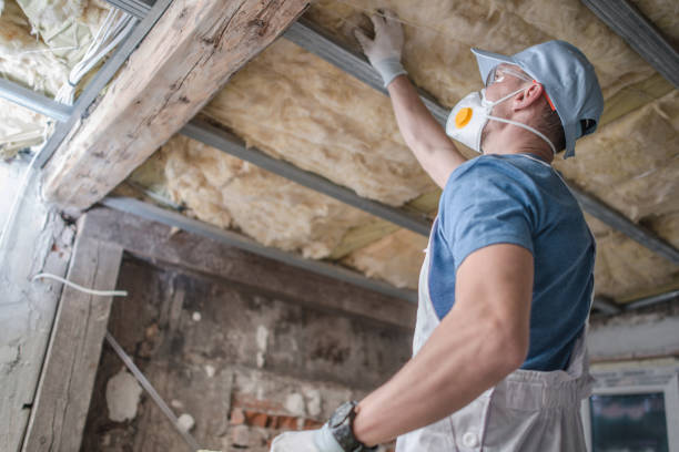 Best Insulation Repair Services  in Soh Jordan, UT